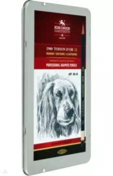 Набор чернографитных карандашей Toison d`Or Art, 8B-2H, 12 штук