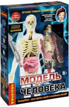 Набор для опытов Модель человека