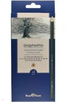 Набор карандашей чернографитовых GraphixPro, 2H-9B, 12 штук