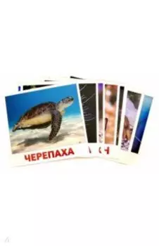 Набор карточек "Водные жители"