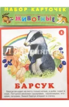 Набор карточек Животные