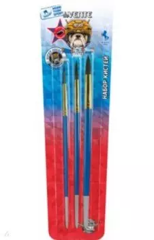 Набор кистей Ice Hockey, пони, 3 шт