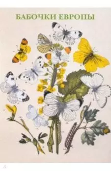 Набор открыток. Бабочки Европы