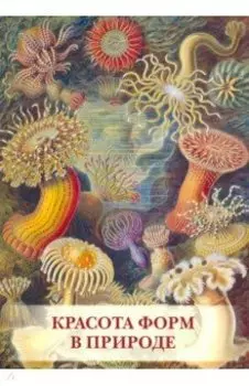 Набор открыток. Красота форм в природе