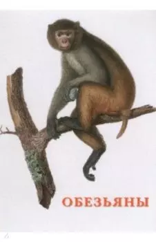 Набор открыток. Обезьяны