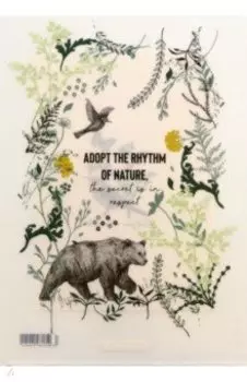 Набор папок-уголков Natural Life, A4, 4 штуки, в ассортименте