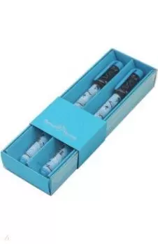 Набор шариковых ручек HappyWrite. Самолёты, синие, 2 штуки