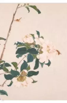 Насекомые и цветы. Пчёлки, 18 листов