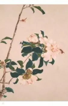 Насекомые и цветы. Пчёлки, 32 листа