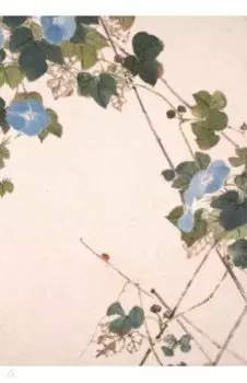 Насекомые и цветы. Вьюнок, 32 листа