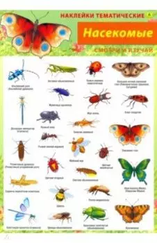 Насекомые. Наклейки тематические