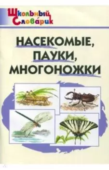 Насекомые, пауки, многоножки. Начальная школа