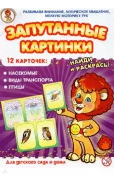 Насекомые-Виды транспорта-Птицы. Запутанные картинки