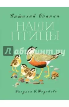 Наши птицы