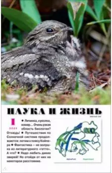 Наука и жизнь. №1 2024