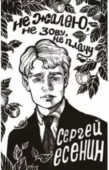 Не жалею, не зову, не плачу...