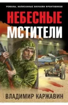 Небесные мстители