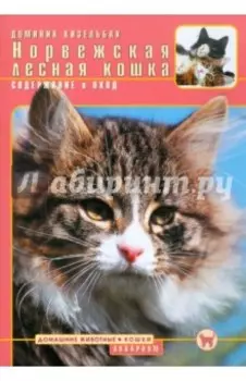 Норвежская лесная кошка. Содержание и уход