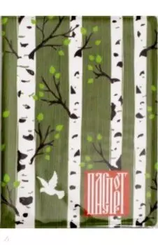 Обложка для паспорта "Березы"