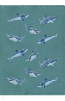 Обложка для паспорта In Joy 4