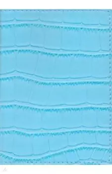 Обложка для паспорта Savage Голубой