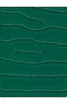 Обложка для паспорта Savage Изумрудный