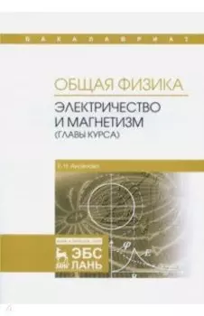 Общая физика. Электричество и магнетизм (главы курса). Учебное пособие