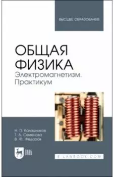 Общая физика. Электромагнетизм. Практикум. Учебное пособие