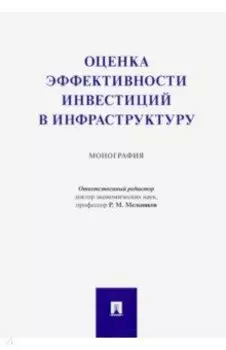 Оценка эффективности инвестиций в инфраструктуру. Монография
