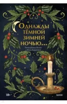 Однажды темной зимней ночью...