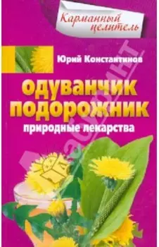 Одуванчик, подорожник. Природные лекарства