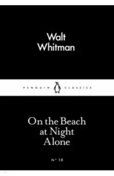 On the Beach at Night Alone