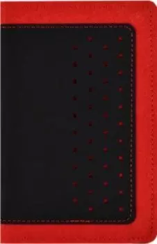 Органайзер-обложка для документов (45294)