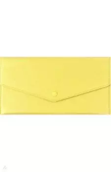 Органайзер-папка для путешествий (110х227 мм) (48409)