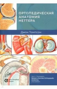 Ортопедическая анатомия Неттера