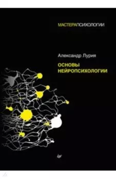 Основы нейропсихологии