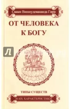От человека к Богу. Типы существ и их характеристики