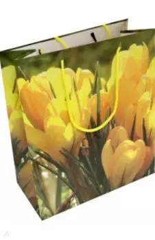 Пакет бумажный, 26x32x12 см (2632-GLOS_VS1)