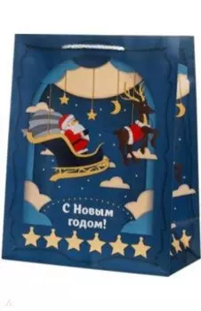 Пакет Дед Мороз в санях