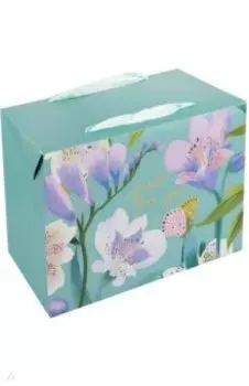 Пакет-коробка подарочный