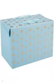 Пакет-коробка подарочный