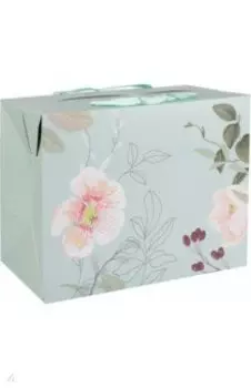 Пакет-коробка подарочный