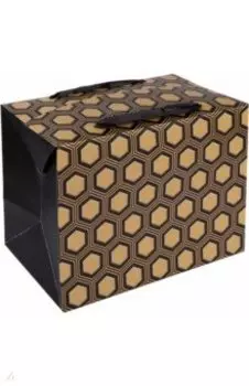 Пакет-коробка подарочный