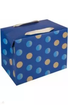 Пакет-коробка подарочный