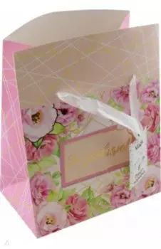 Пакет-коробка Поздравляю