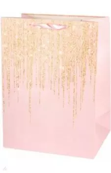 Пакет подарочный