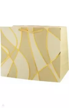 Пакет подарочный