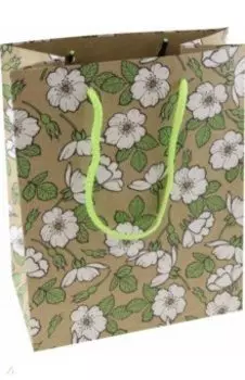 Пакет подарочный