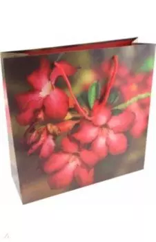 Пакет подарочный