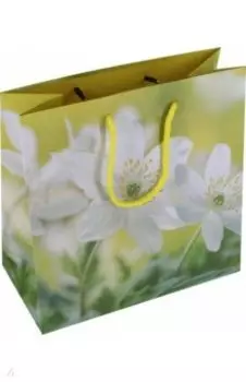 Пакет подарочный